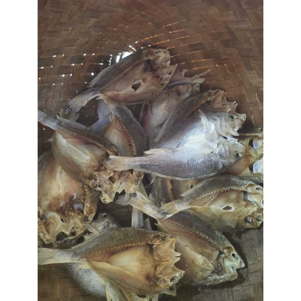 

Ikan asin gulama/ikan asin kepala batu belah