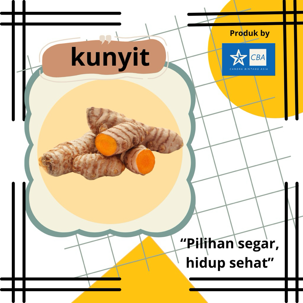 

Kunyit Segar 250gr/500gr/1kg – Rempah Fresh Alami untuk Masakan & Jamu Siap Kirim!