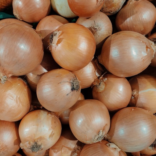 

BAWANG BOMBAY 1KG KUALITAS SUPER