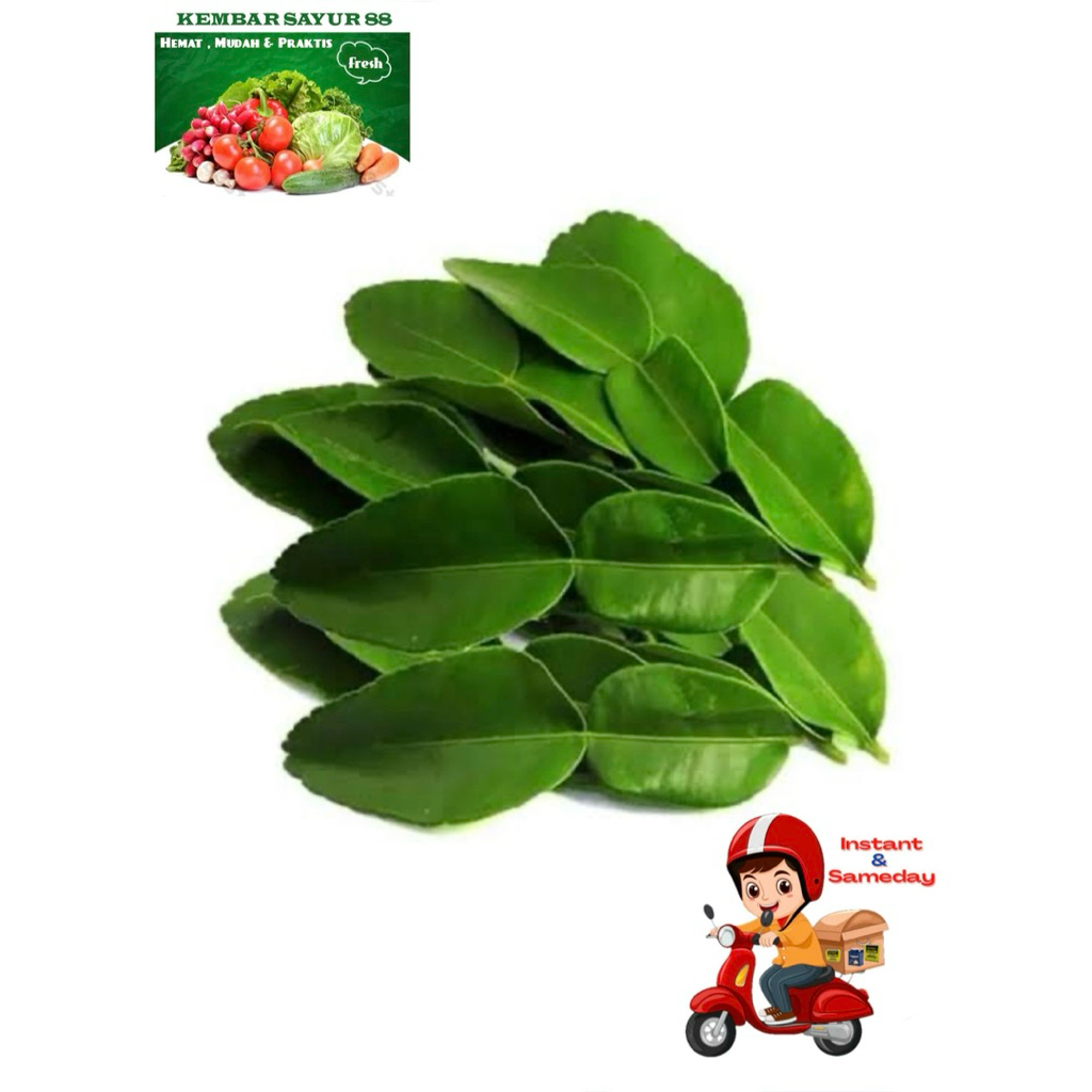 

Daun Jeruk Segar - kembarsayur88