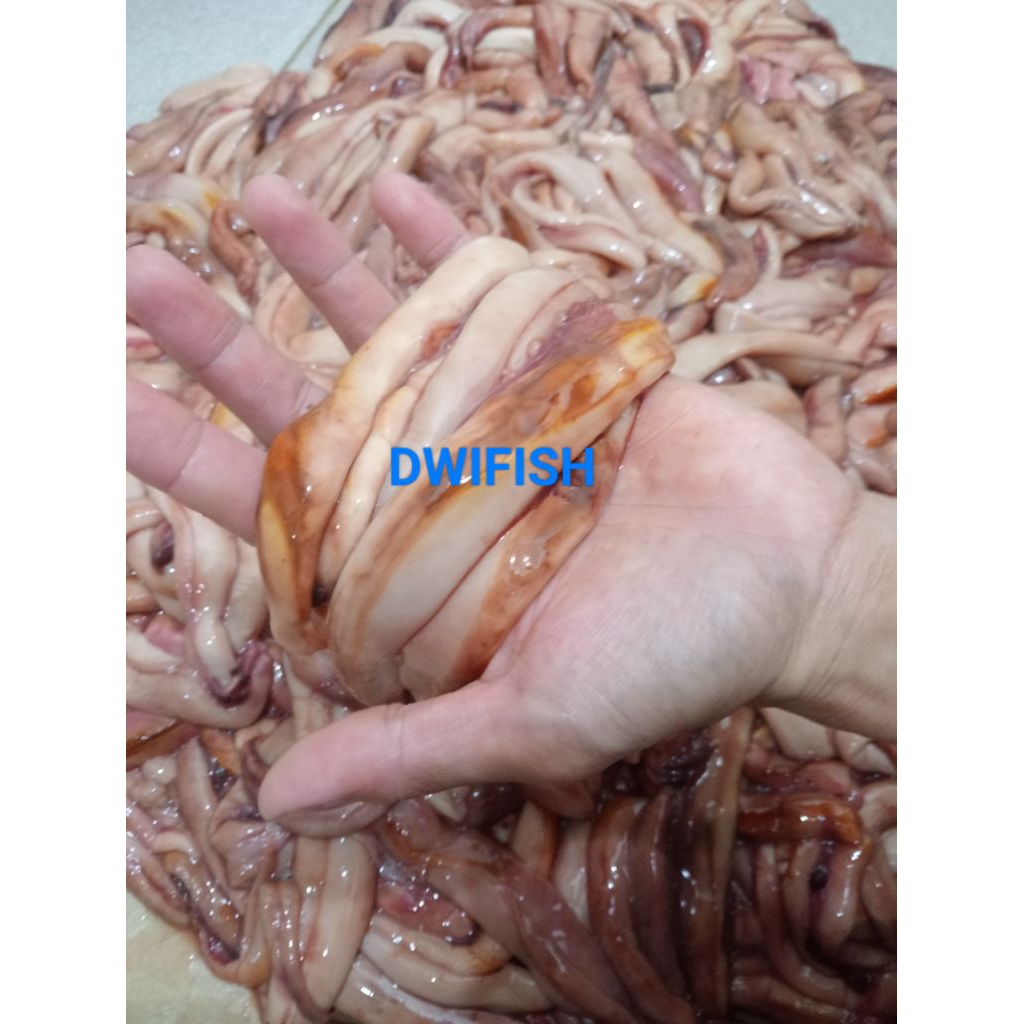 

TELUR IKAN TENGGIRI MUDA / PUTIH 500gram