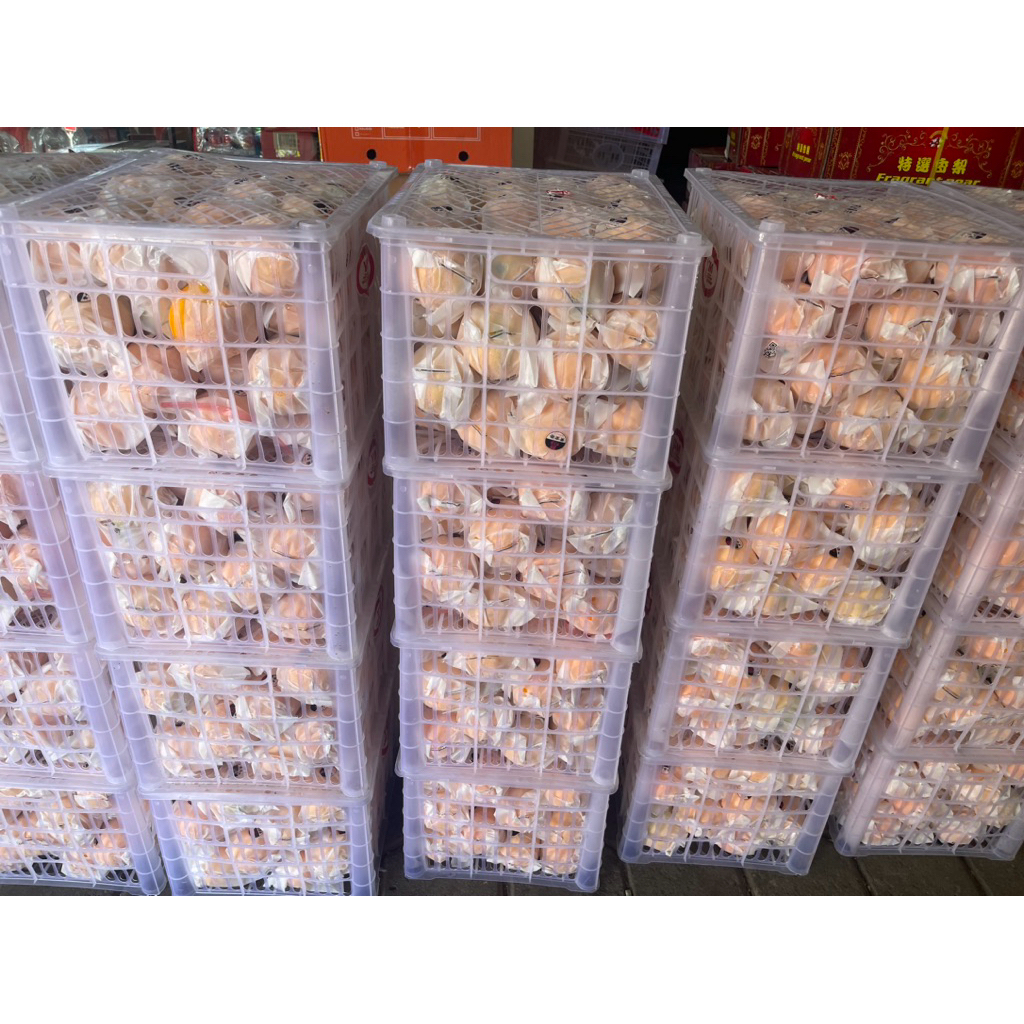 

Jeruk Navel Super | Jeruk Navel RRC Fresh 15kg | Keranjang