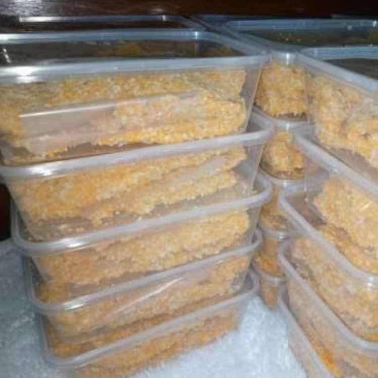

FROZEN FOOD AYAM KATSU/CHICKEN KATSU FRESH ISI 10 PCS