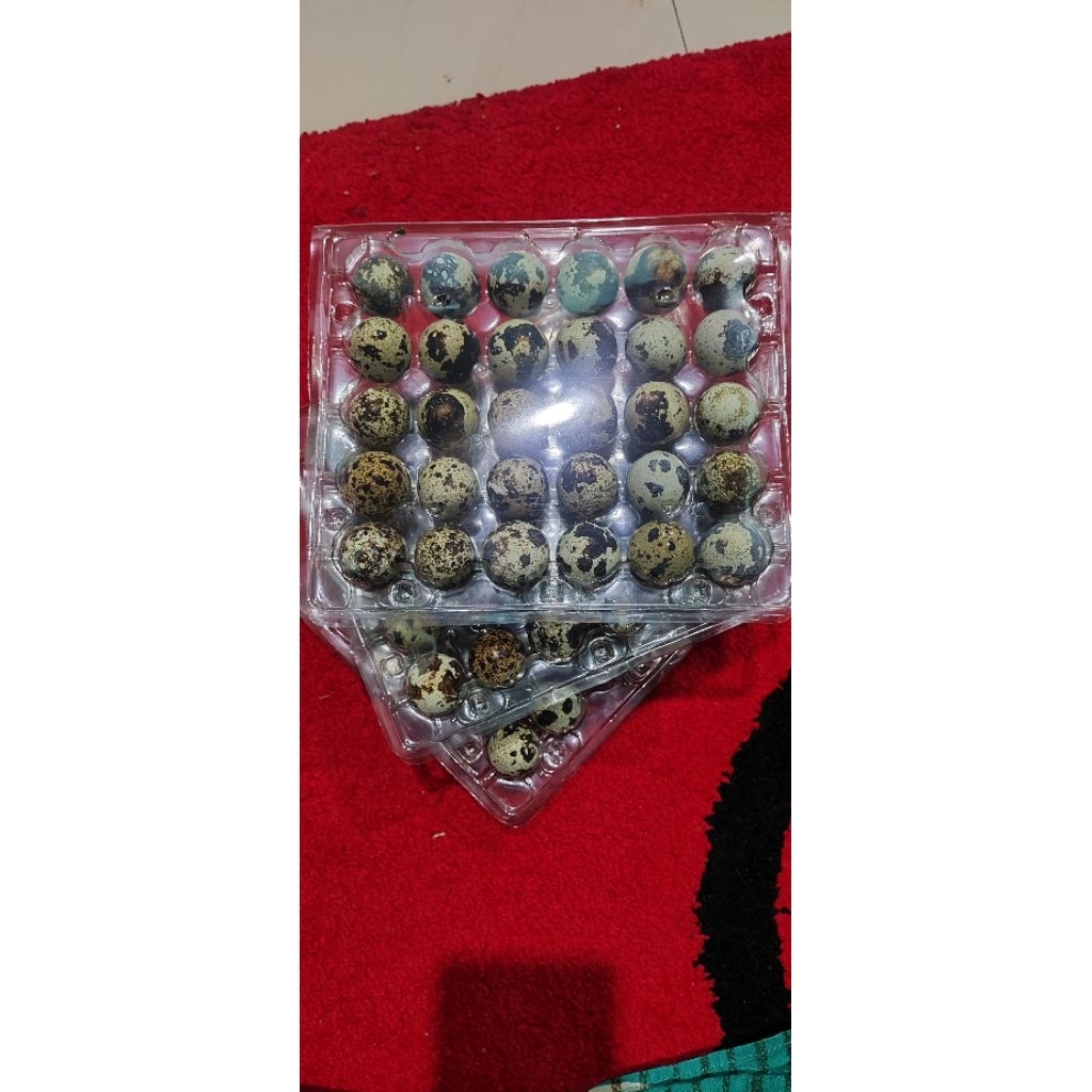 

telur puyuh 30 butir