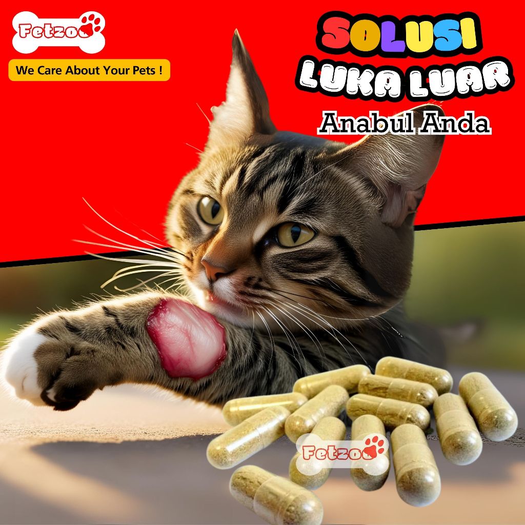 Kapsul Kutuk Ekstrak Albumin Ikan Gabus Untuk Penyembuh Luka Kucing FETZOO
