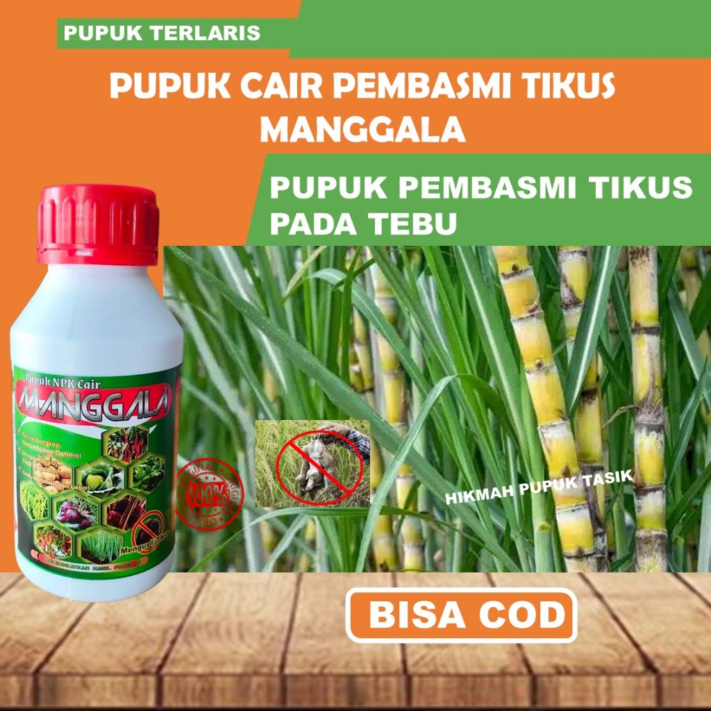 Pupuk Cair Manggala 500ml - Pembasmi Tikus Tebu Ampuh & Ramah Lingkungan, Tanpa Racun, Aman untuk Ta