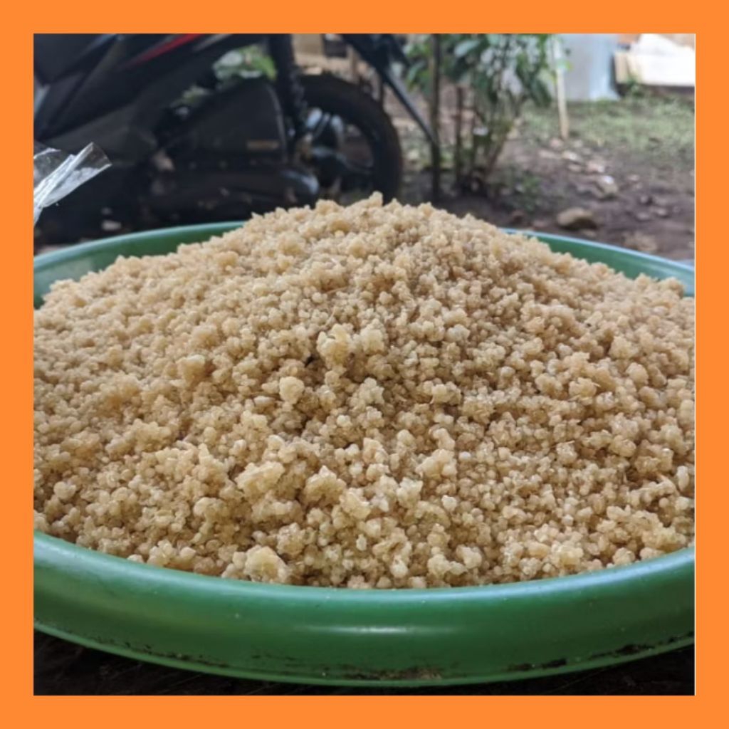 Oyek singkong | Tiwul 1 kg