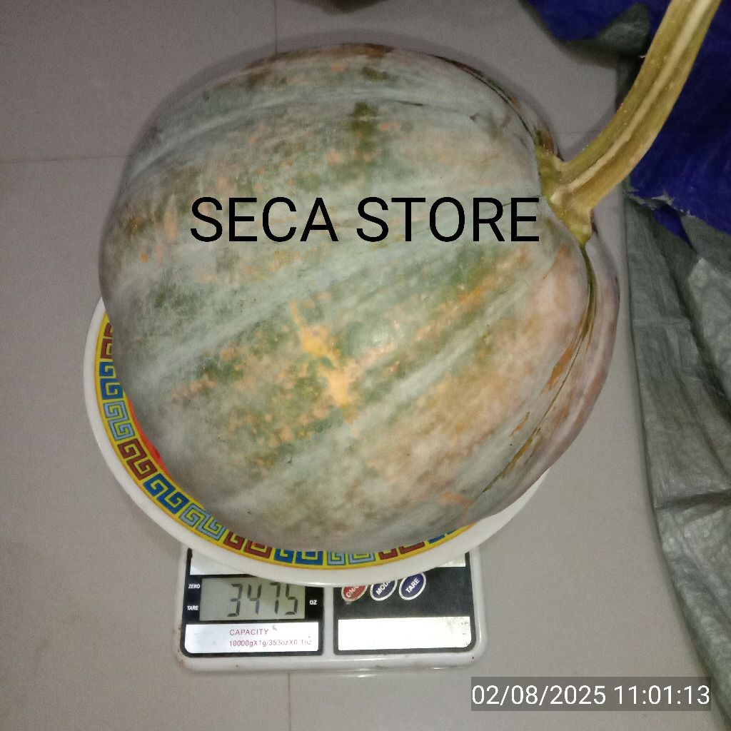 

[Ready Stok] Buah Labu Kuning - Berat -/+ 3.4 kg