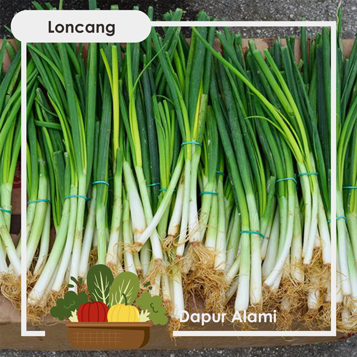 

Loncang/Daun Bawang per Ikat - Sayur Jogja
