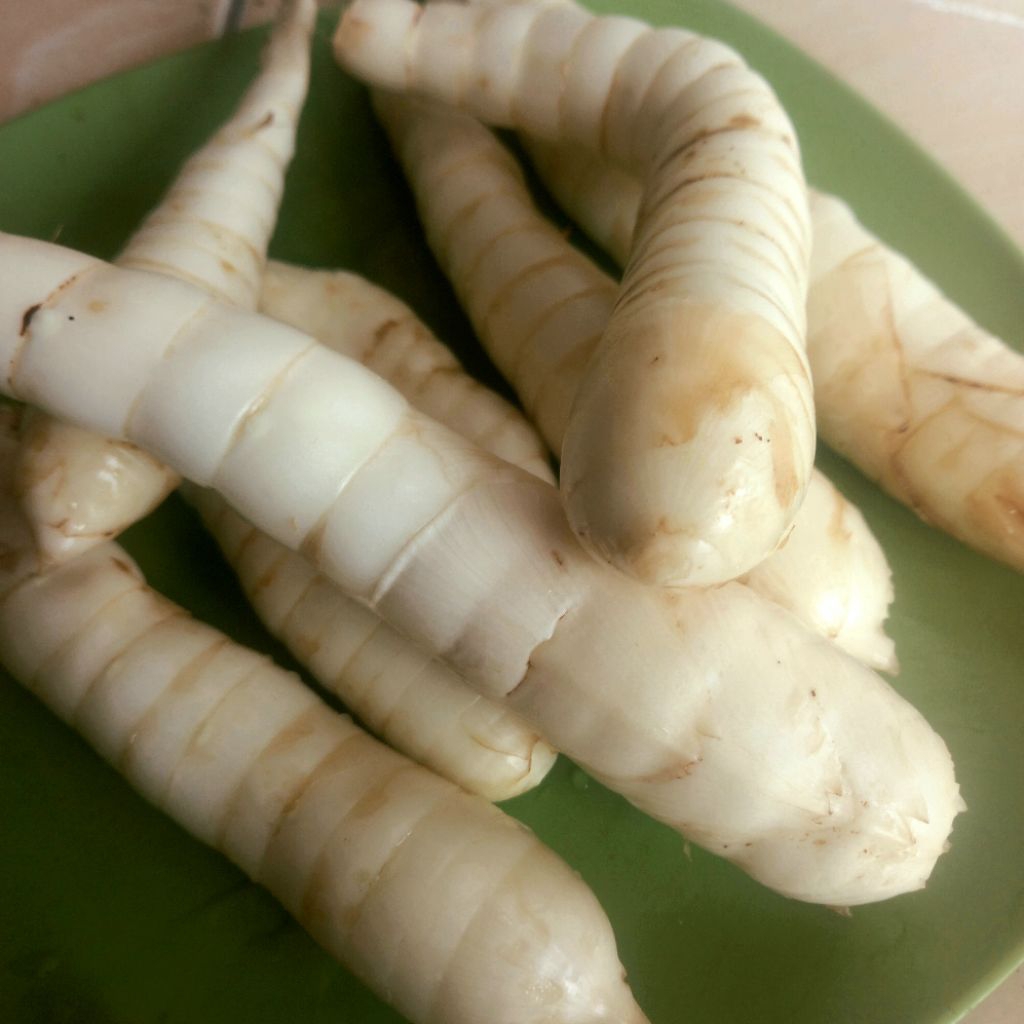 

umbi garut segar // irut berat 500gr