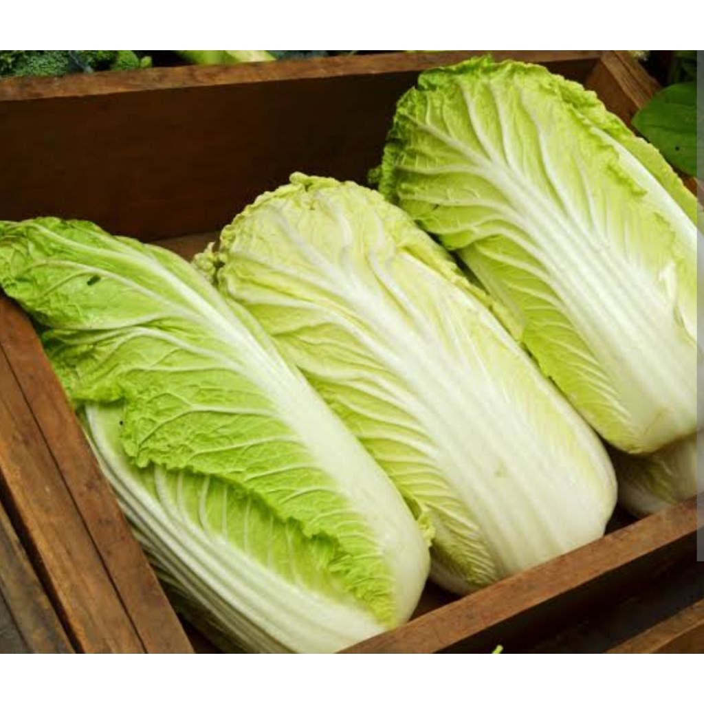 

cek pecay/sawi putih kemasan 1kg