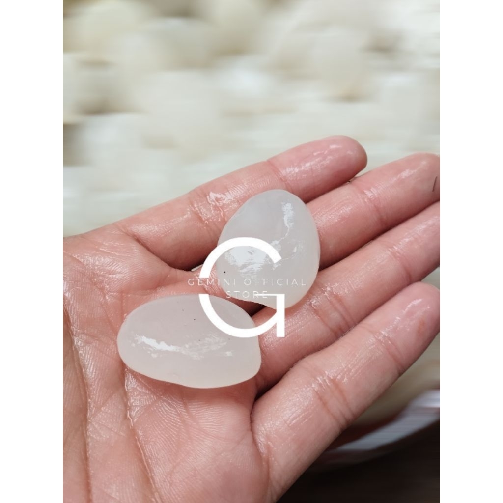 

Forcysn Kulang Kaling Segar Super Berat 1 Kolang Kaling Putih Segar Bersih Fresh Bahan Manisan { Gos