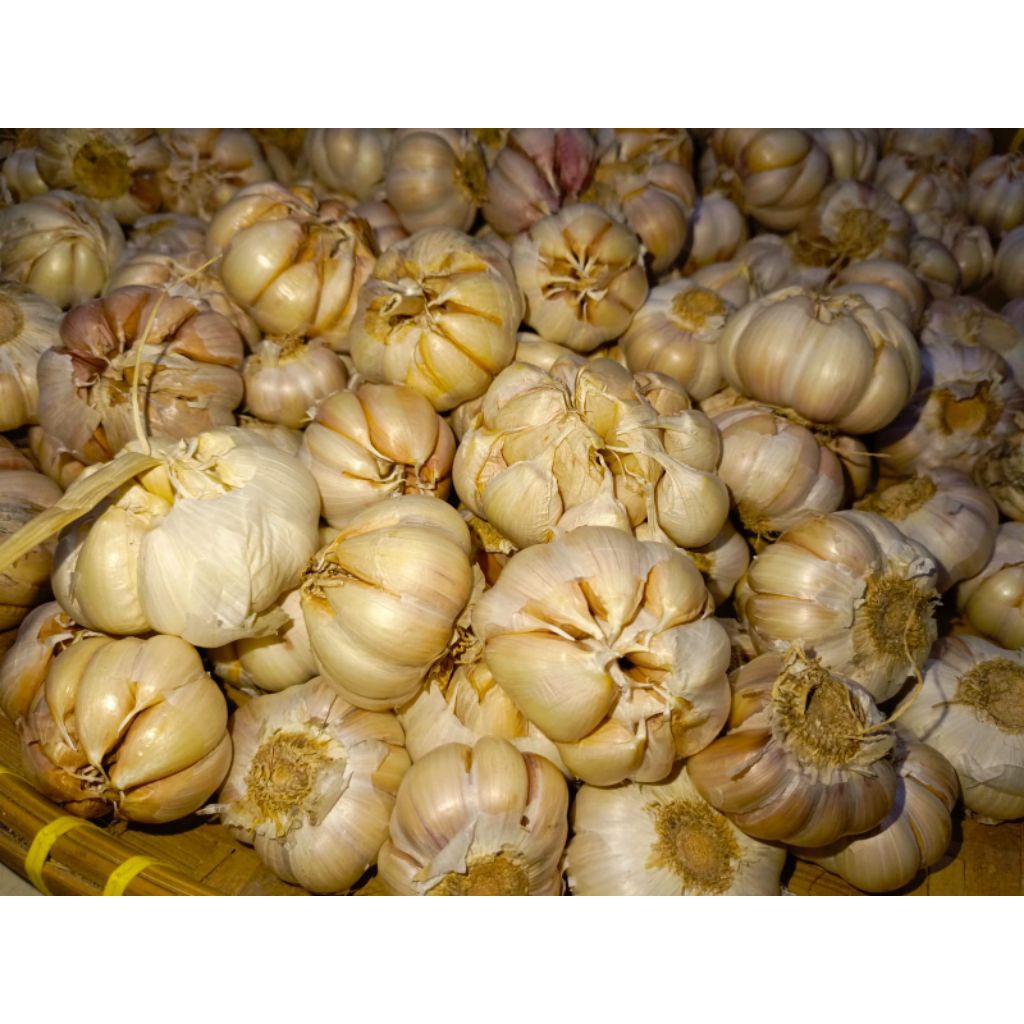 

bawang putih fresh, panen baru bersih 250gram