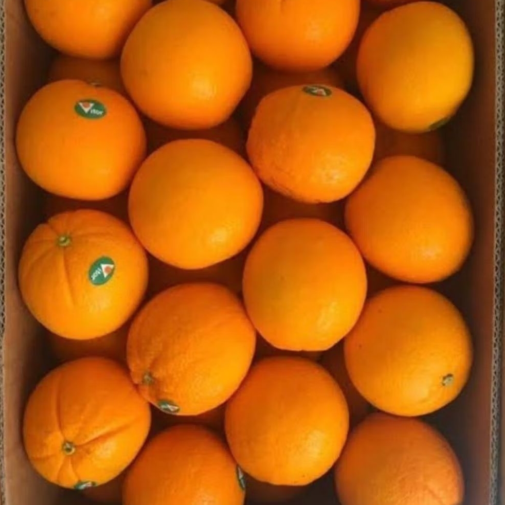 

Jeruk sunkist / sankis _ 1kg