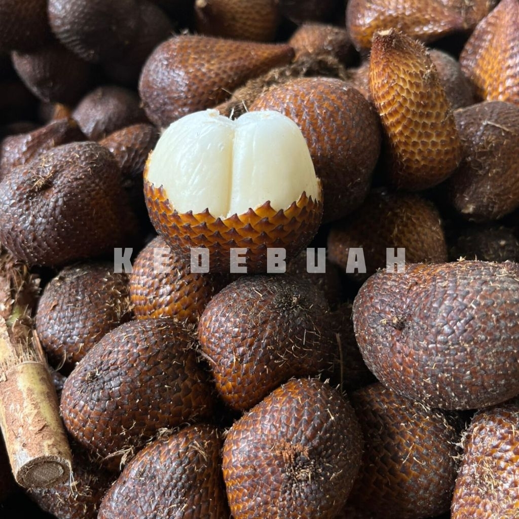 Salak Gula Pasir Bali