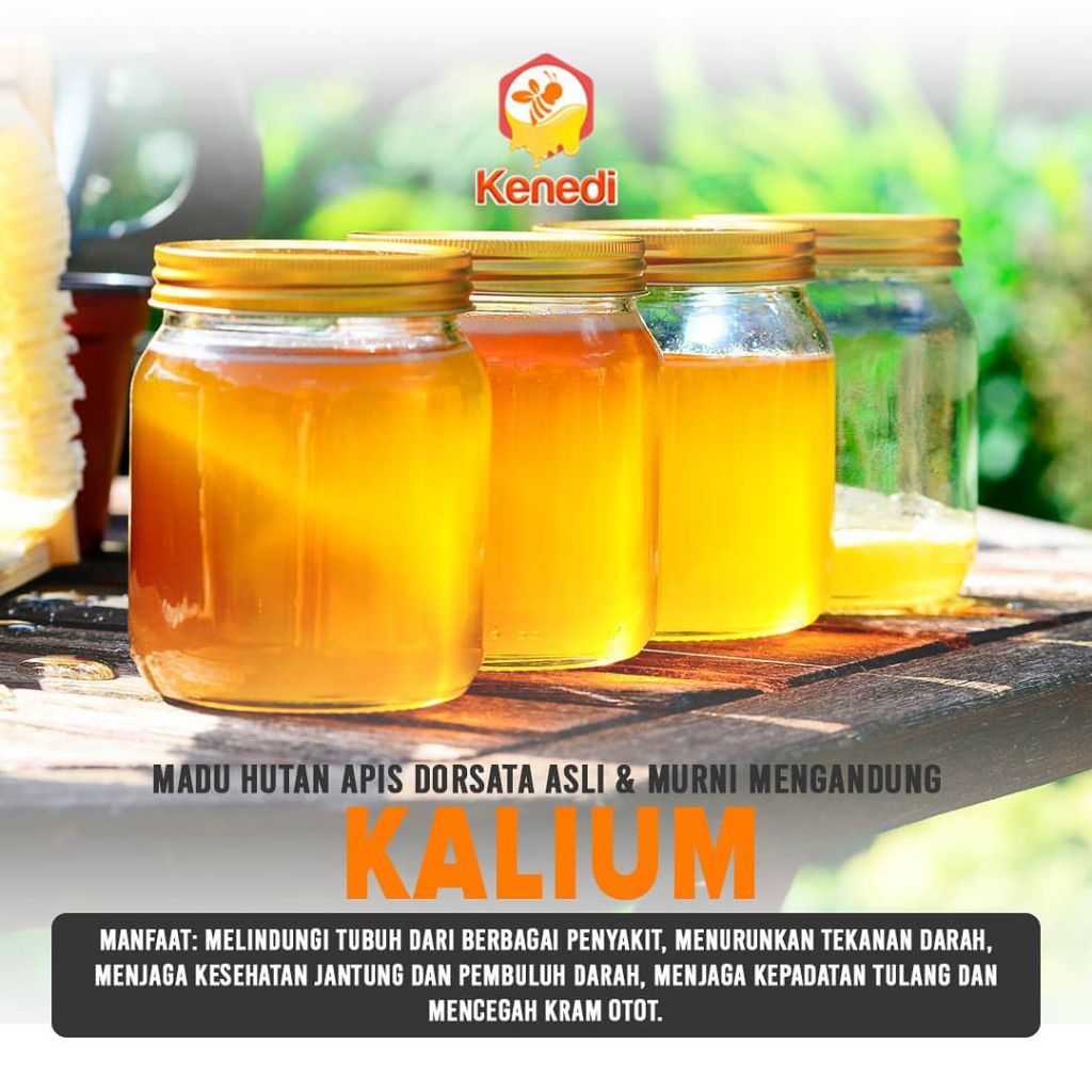 Madu Hutan Liar Original 100%