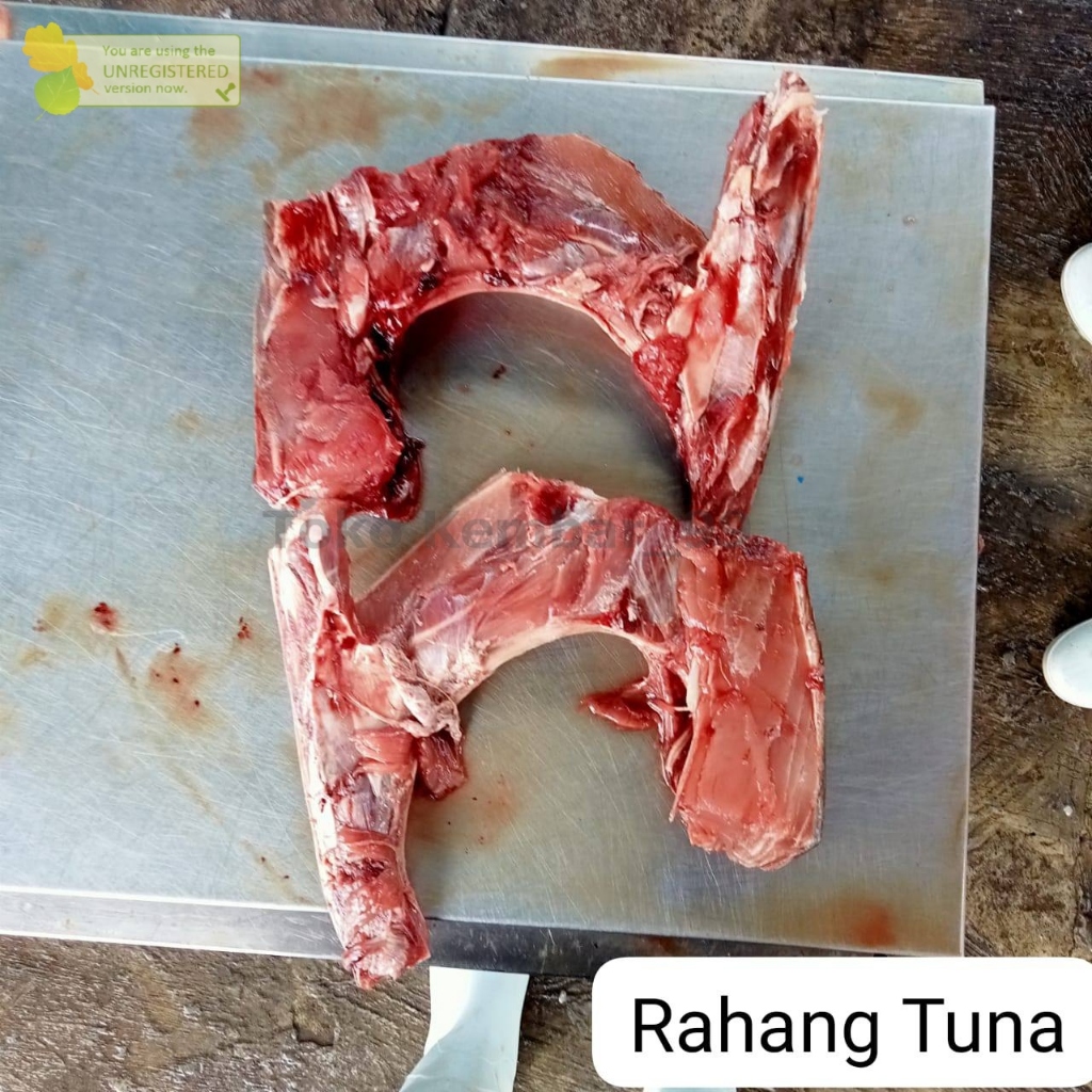 

Rahang Tuna Segar Rahang Tuna 900-1000gr