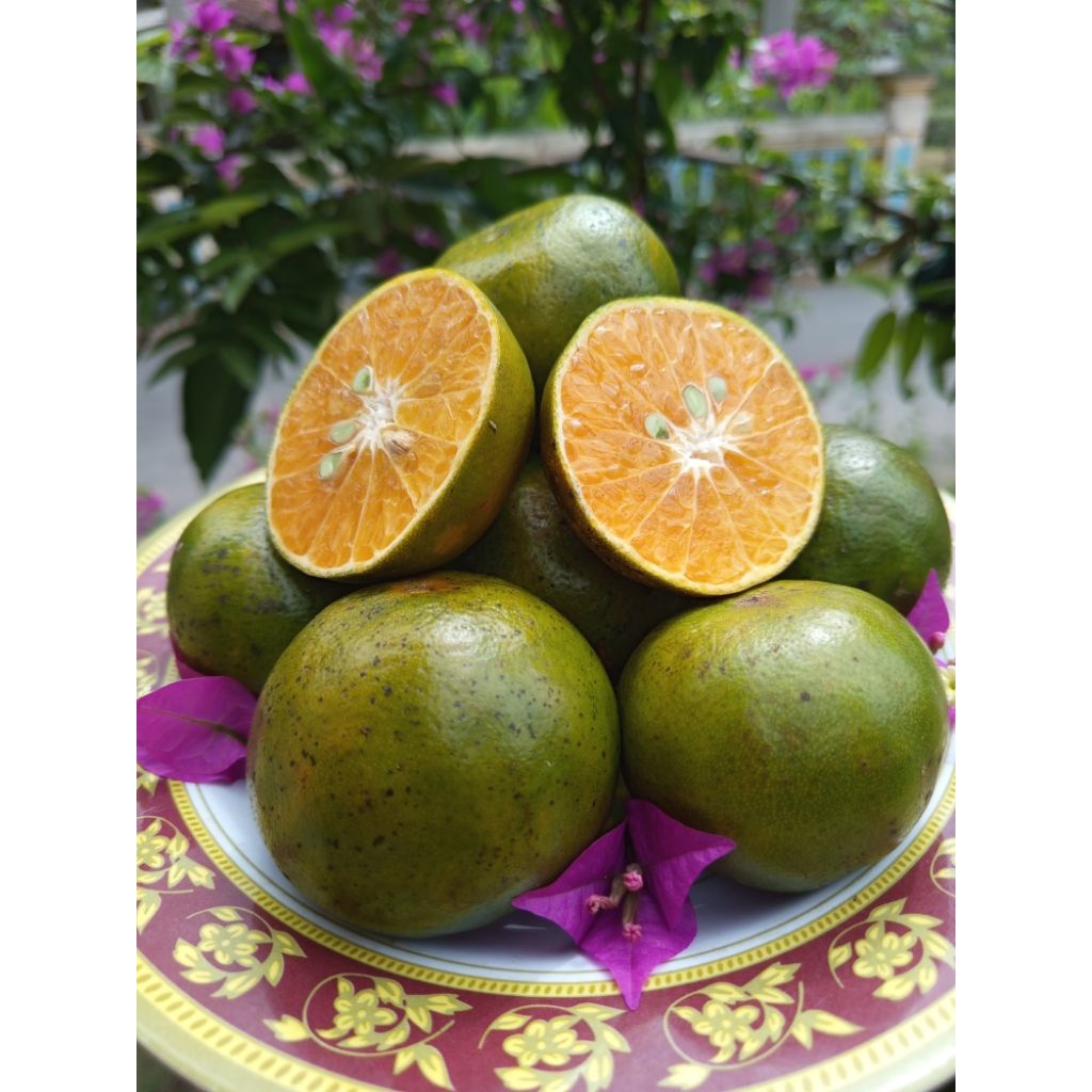 

Jeruk semboro fresh 1 kg