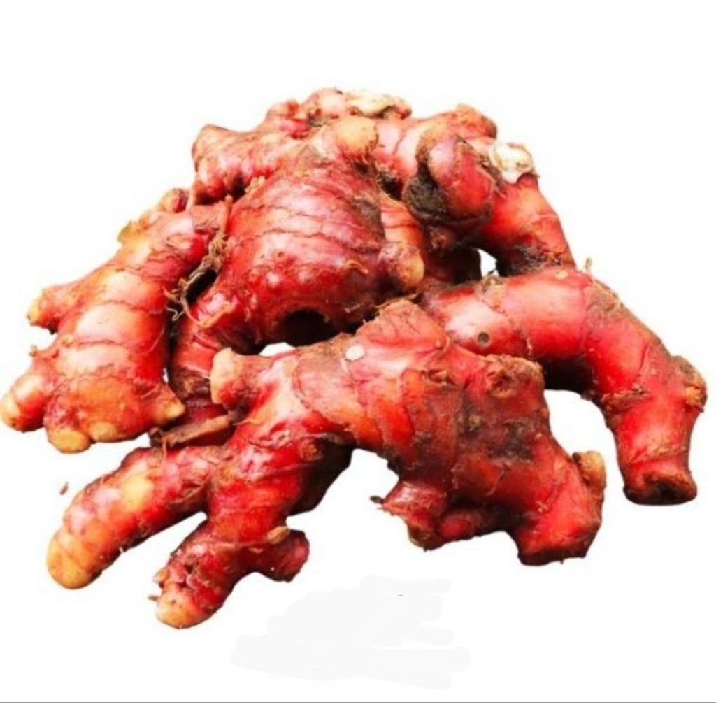 

jahe merah 500 gram dan 250 gram
