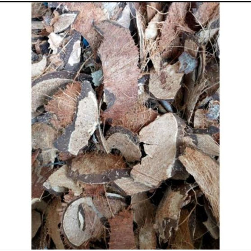 

ready batok kering kemasan 1kg berkualitas