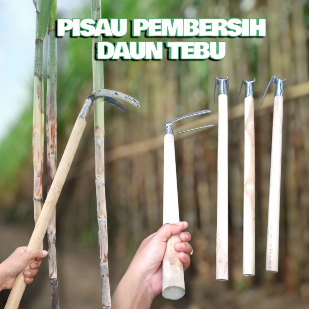 PISAU NGUPAS DAUN TEBU , ALAT PEMBERSIHAN DAUN TEBU, PISAU ALAT ROGES