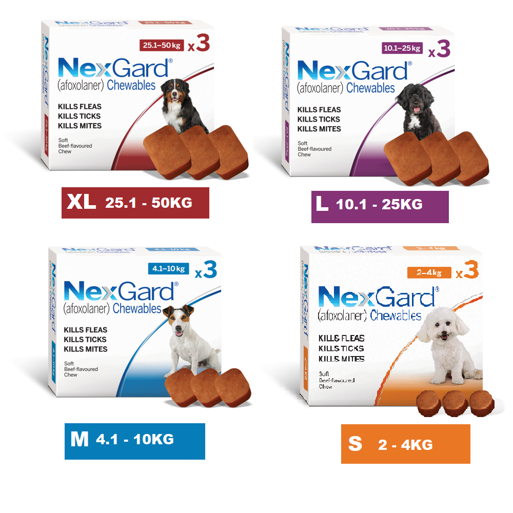 NEXGARD Obat Kutu Anjing ALL VARIAN S, M, L, XL Dog & Demodex Anjing NexGard Chewable Tablets / Obat