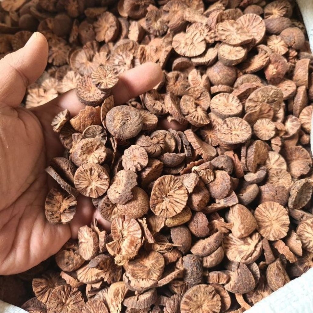 

promo/buah pinang kering/kualitas bagus redy siap kirim