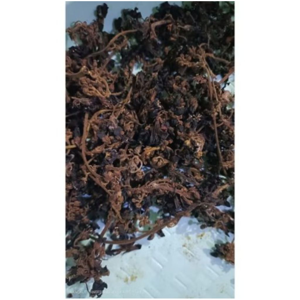 

Bunga Belimbing Wuluh Kering 10gram