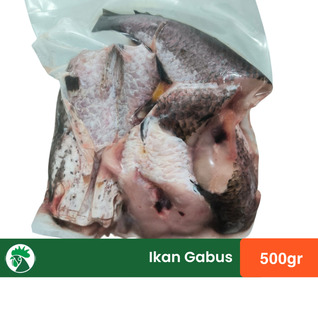 

Ikan Gabus Bersih Siap Masak 500gr & 1kg