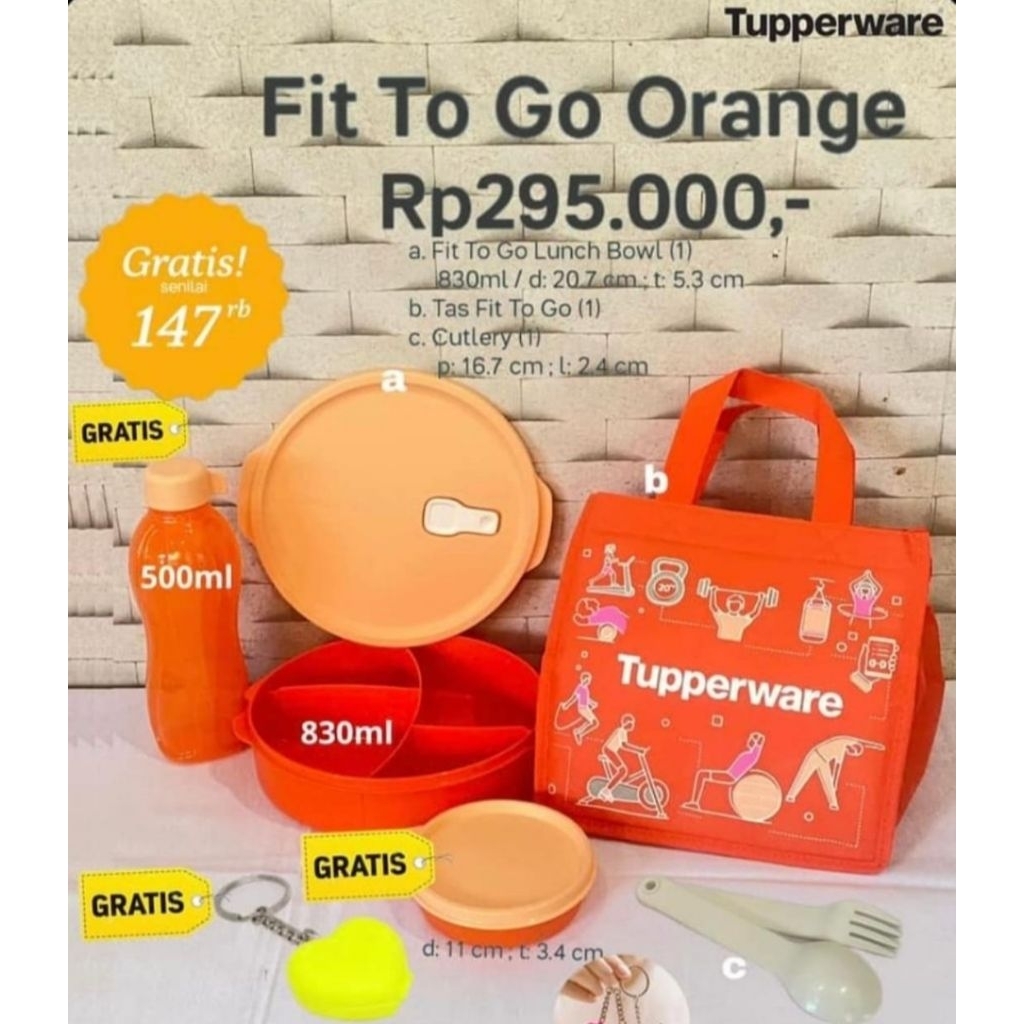 Fit To Go lunch box set tupperware