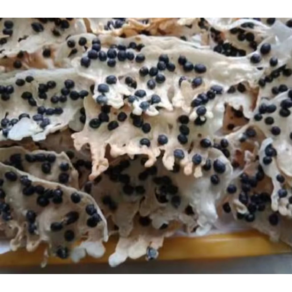 

REMPEYEK KEDELAI GURIH RENYAH PEYEK KEDELAI 110 GRAM