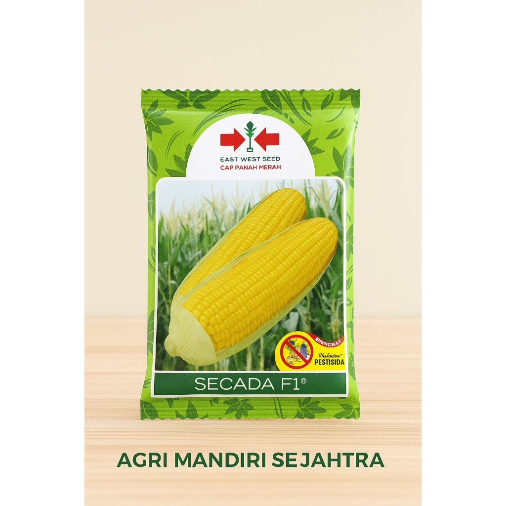 

PROMO !!! Benih Jagung Secada F1 1.800 Biji READY STOCK