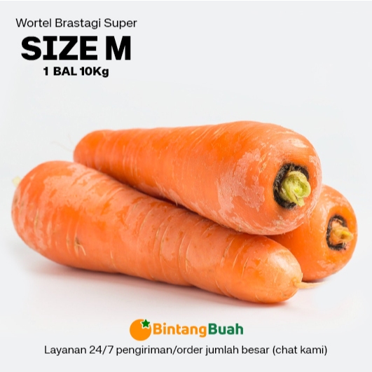 

Wortel Segar M (UKURAN BESAR) Bal / Wortel Brastagi M Fresh / Carrot Fresh / Fresh Carrot / Wortel Super Segar / Sayuran Segar /Wortel Import / 10 Kg / Bal
