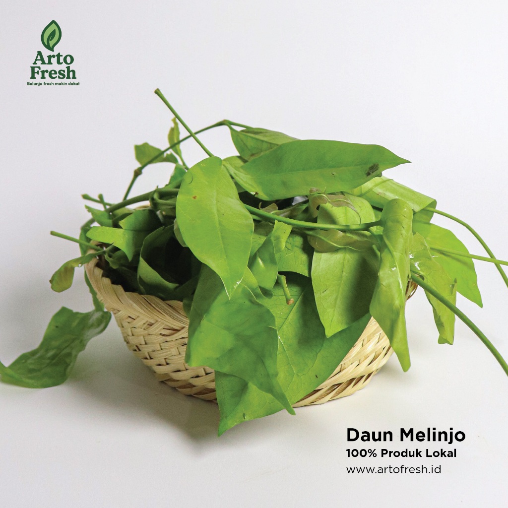 

Daun Melinjo Segar, Artofresh