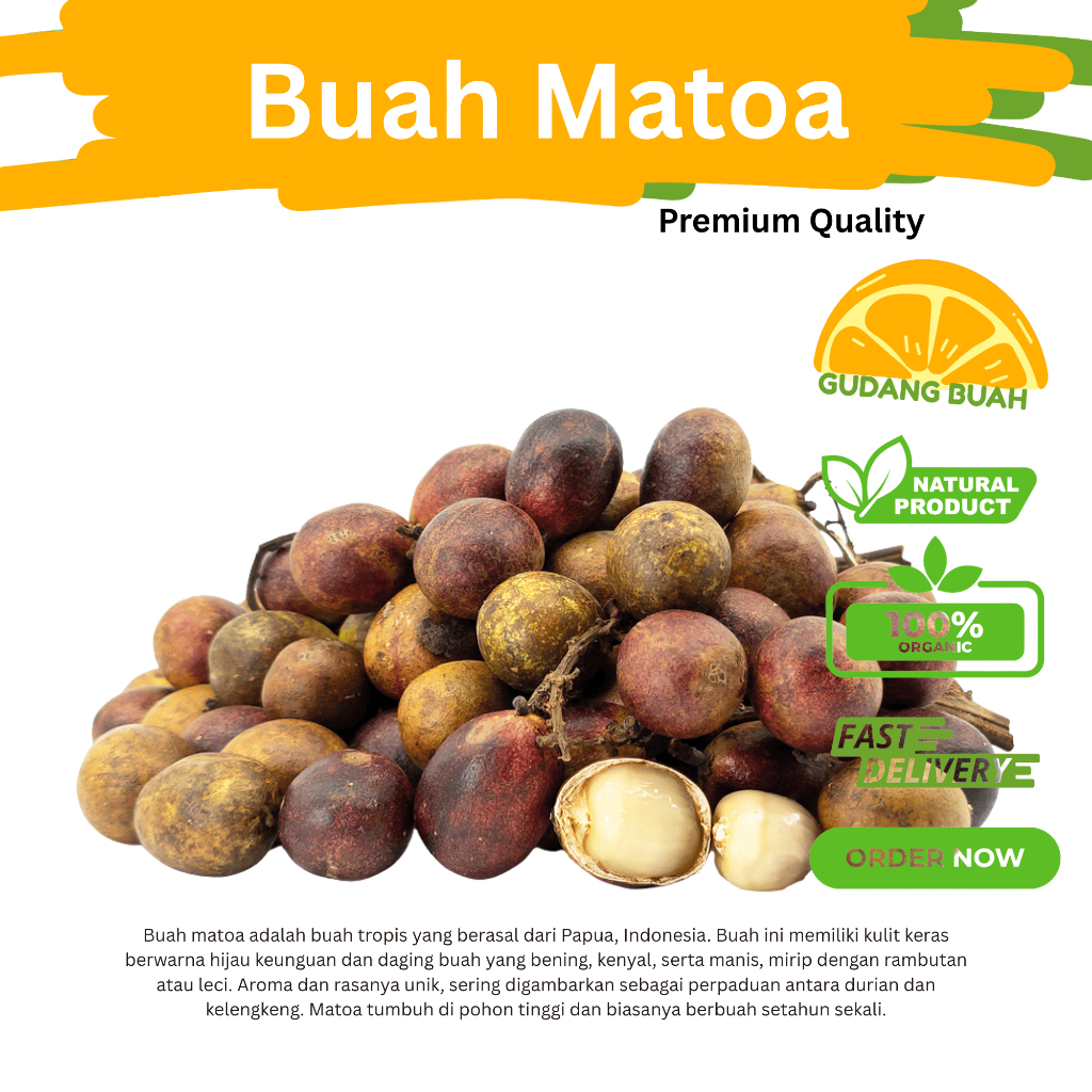 

Matoa Papua Segar 1kg – Buah Eksotis Manis & Wangi | Buah Lokal Premium