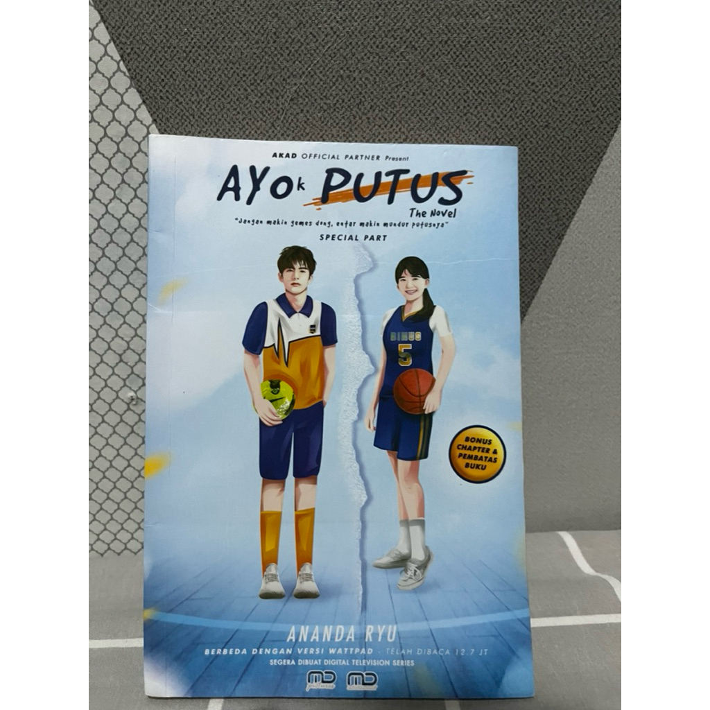 Novel Ayo Putus By Ananda Ryu