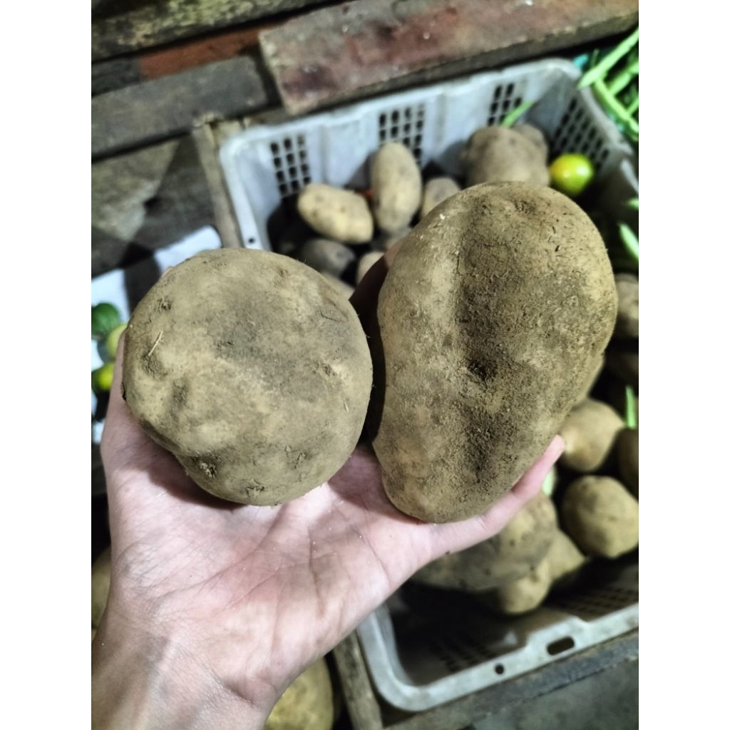 

KIRIM INSTAN I Kentang 1 Kg