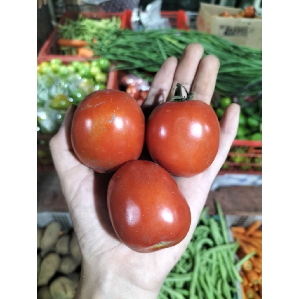 

KIRIM INSTAN I Tomat Merah 1 Kg