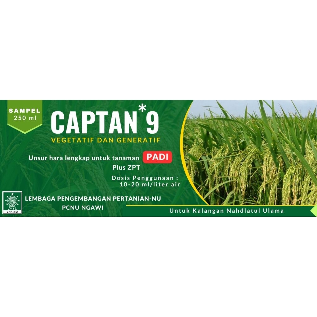 Nutrisi tanaman padi