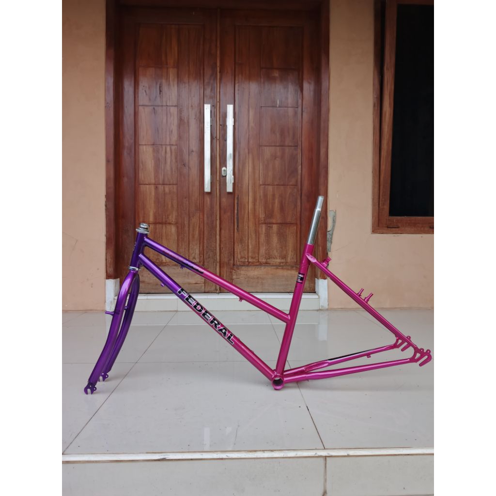 Frame Lady 26 Not Federal Commuter Bike