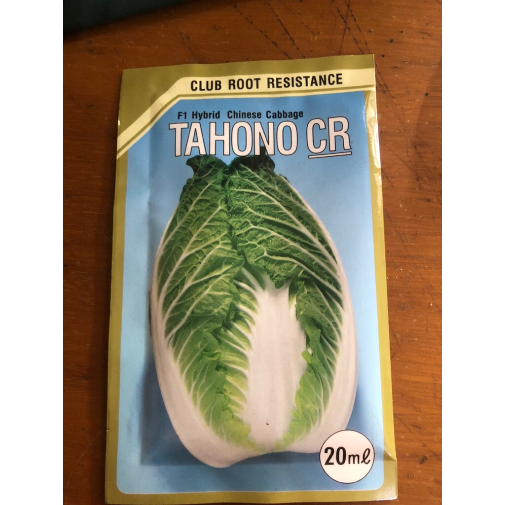 

BIBIT SAYUR TAHONO SAWI PUTIH