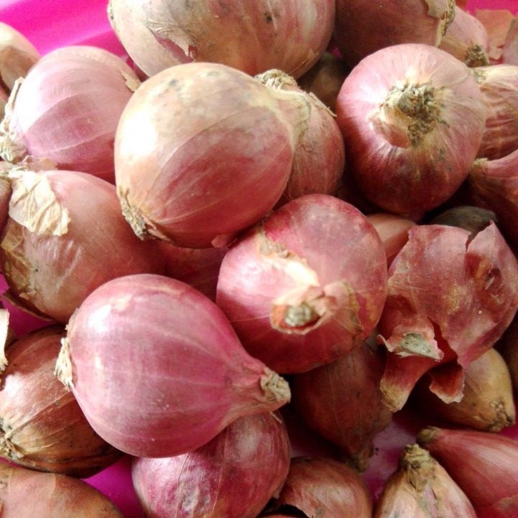 

Bawang Merah super 1 kg