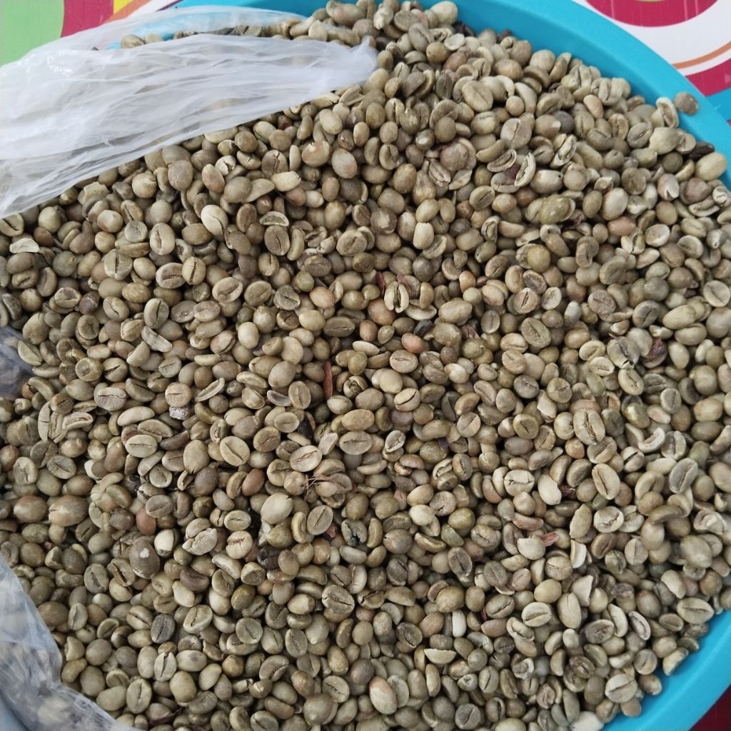 

biji kopi gunung kawi