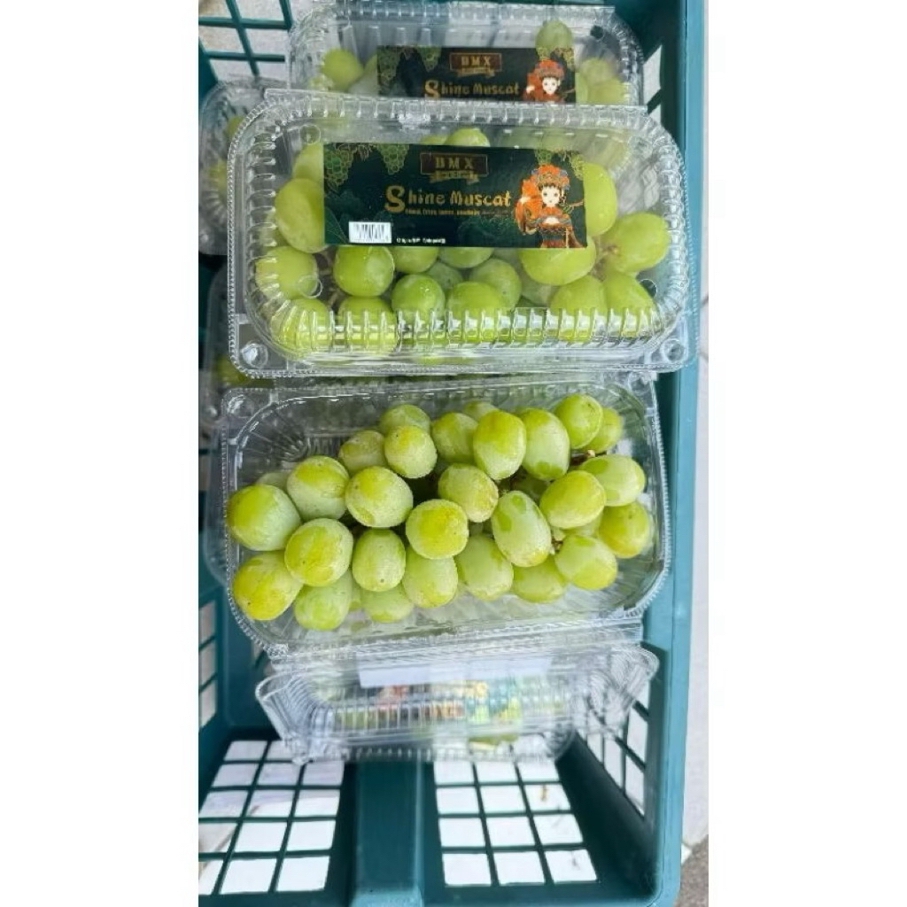 

Anggur Hijau Shine Muscat Import - Rasa Manis Legit Tanpa Biji 1 pcs