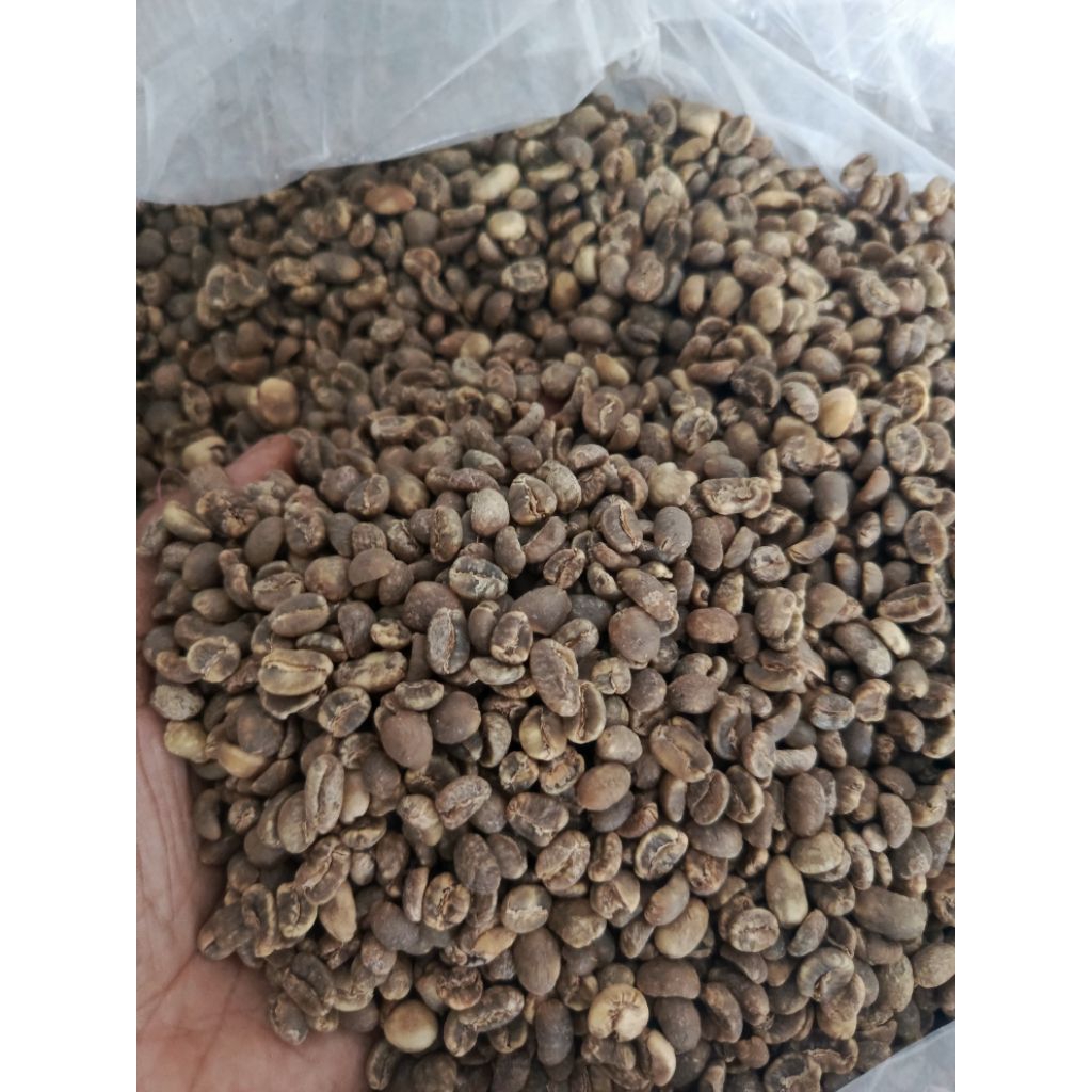 

Kopi Green bean Arabika Semiwas 1kg CIbunar Linggajati Kuningan Jawa Barat