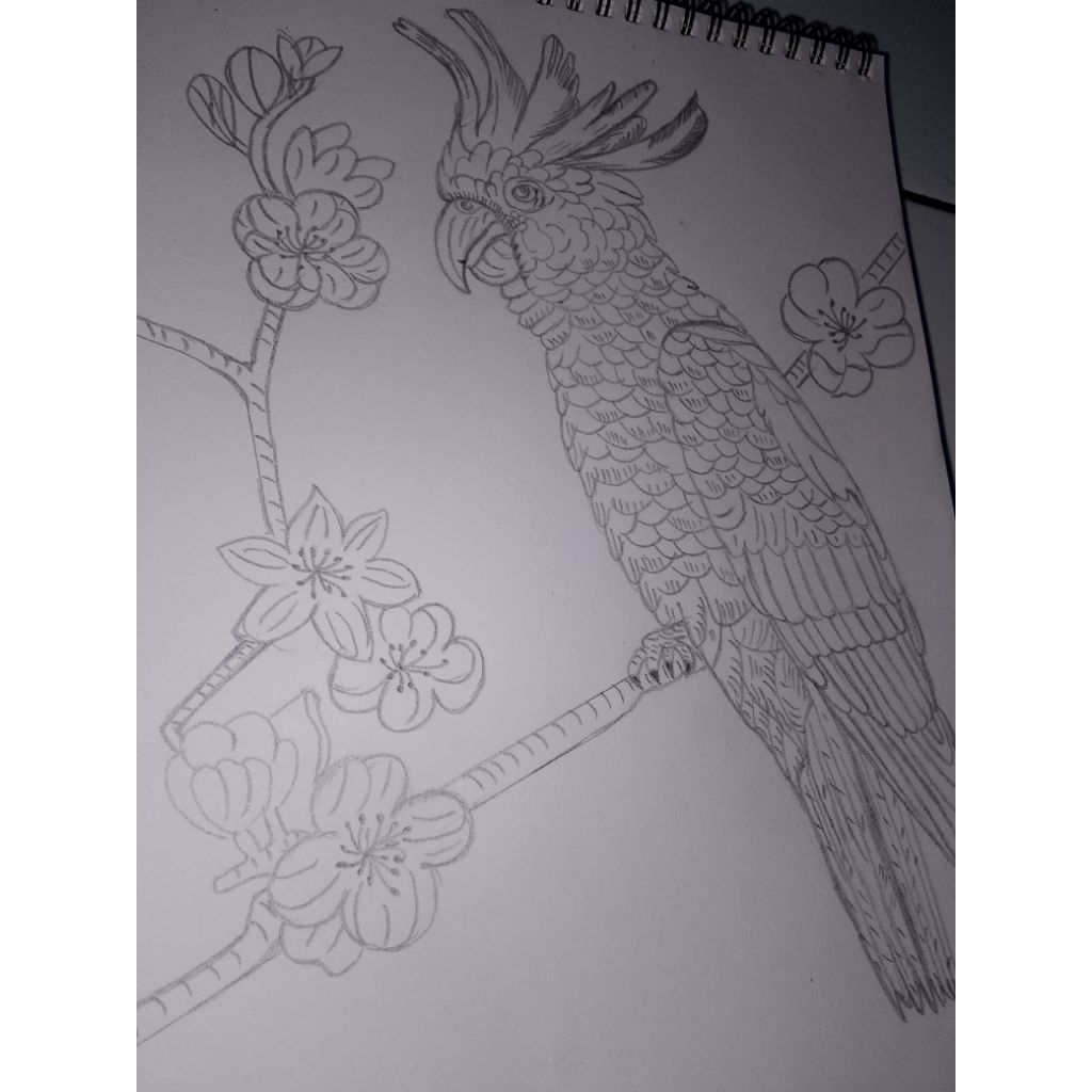 

jasa gambar bebas custom bisa request