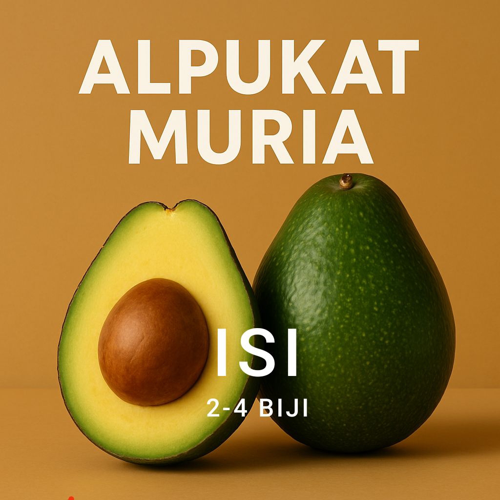 

ALPUKAT MENTEGA MURIA 2-4buah