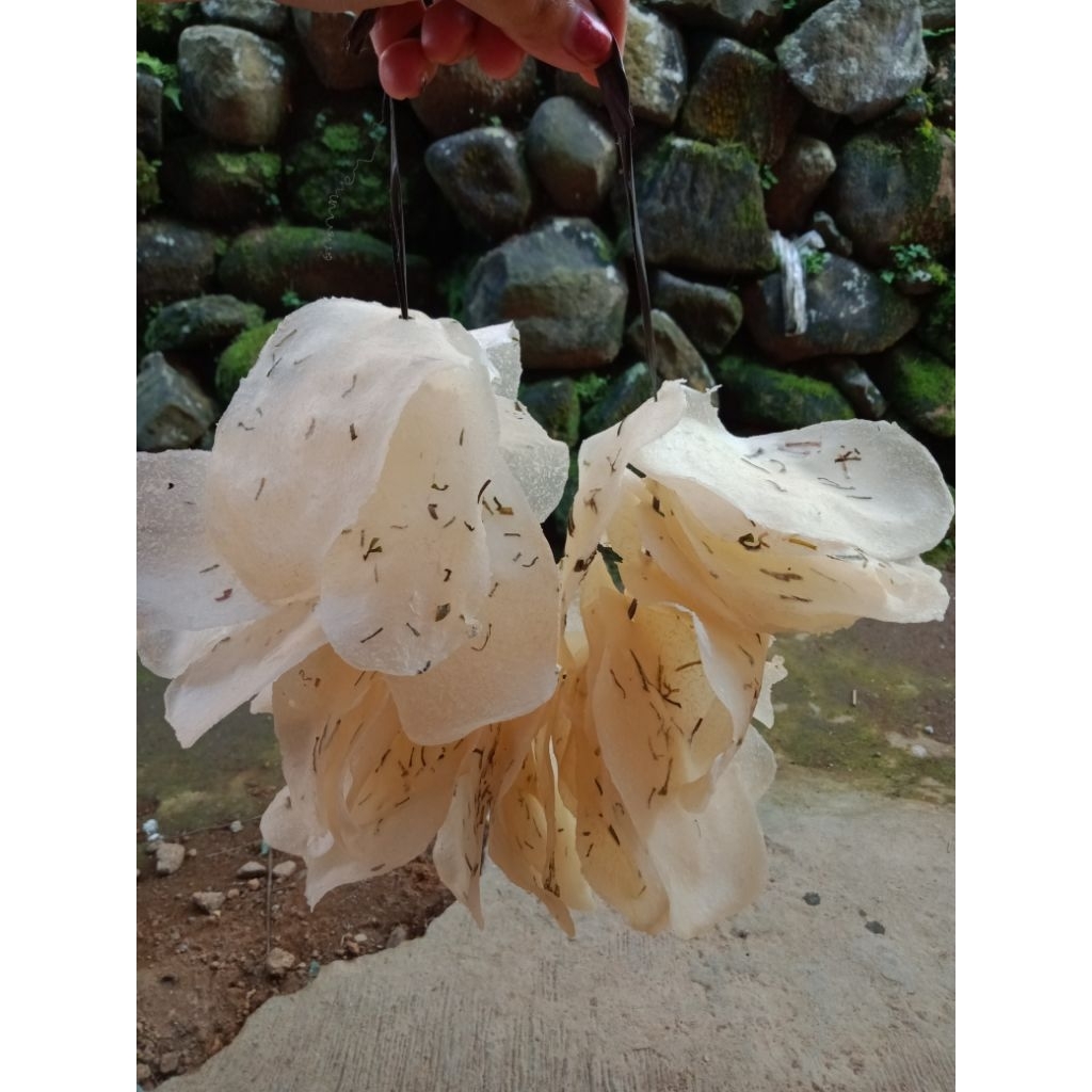 

opak getuk opak singkong