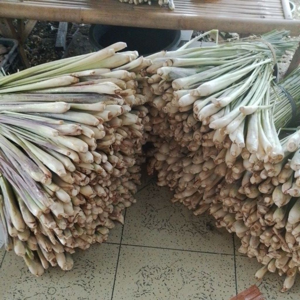 

Sereh Lokal Pilihan Fresh 1KG