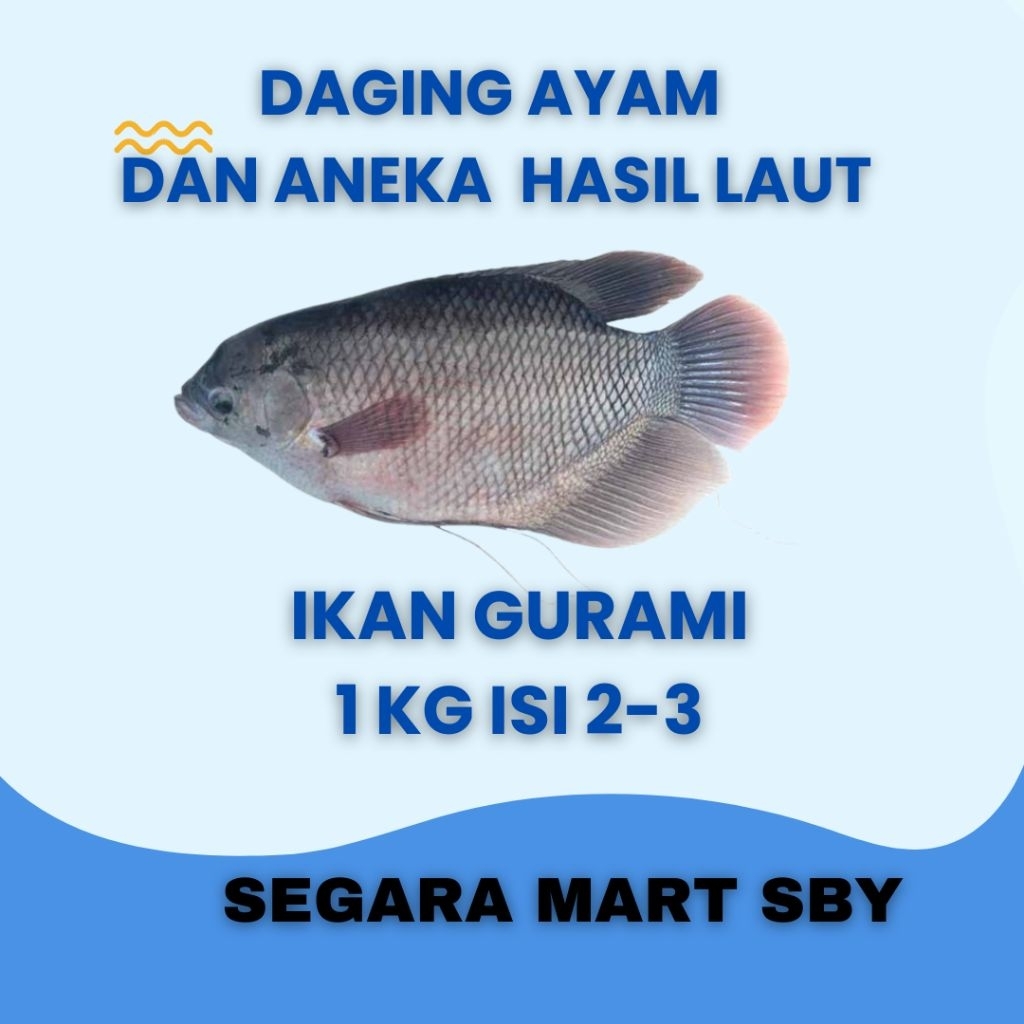 

IKAN GURAMI BESAR 1 KG || Segara Mart Sby
